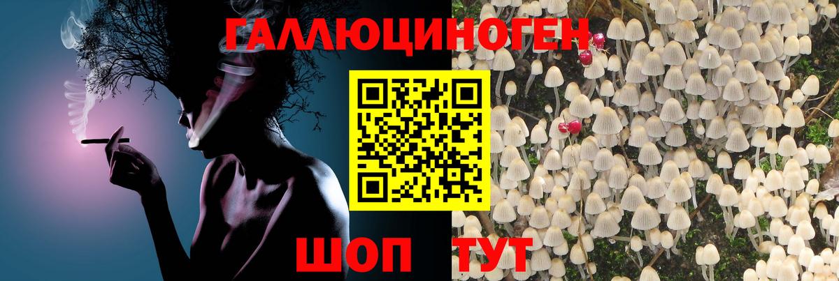 Коломна  Псилоцибиновые грибы Psilocybe  Псилоцибиновые грибы мухоморы  Вход с VPN 